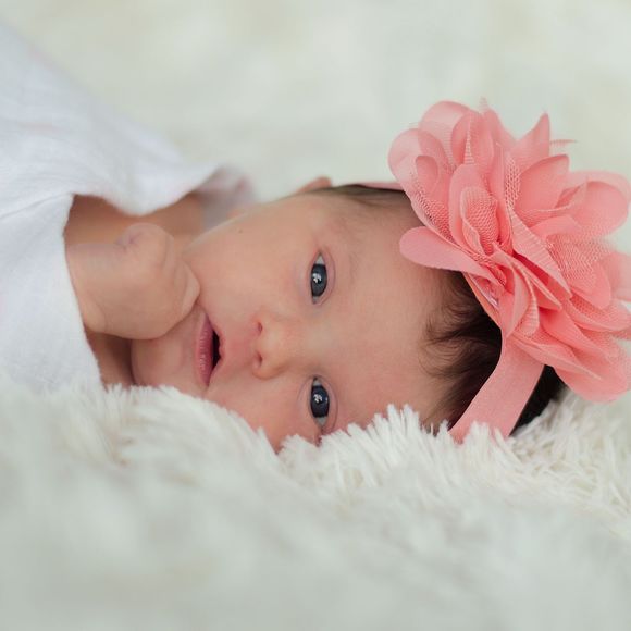 Meet your Posher, Miranda - Picture 1 of 1